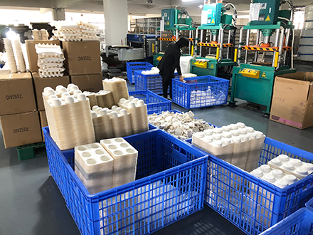 紙托產(chǎn)品中白紙漿和甘蔗漿有什么區(qū)別？